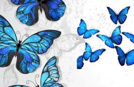 niebieskie motyle