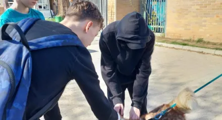 Pies Wojtek ze schroniska „Na Paluchu” ma nowy dom!