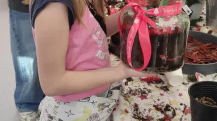 Warsztaty sesnoryczne