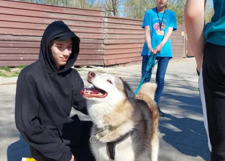Pies Wojtek ze schroniska „Na Paluchu” ma nowy dom!