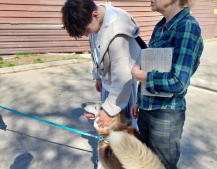 Pies Wojtek ze schroniska „Na Paluchu” ma nowy dom!