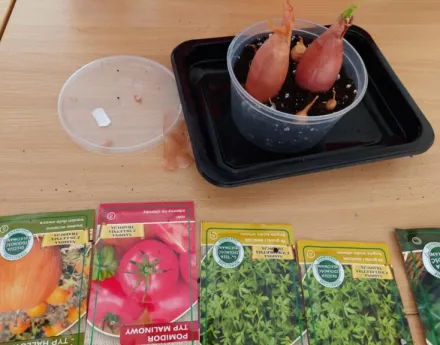 Projekt przyrodniczo-ekologiczny „Od ziarenka do roślinki”