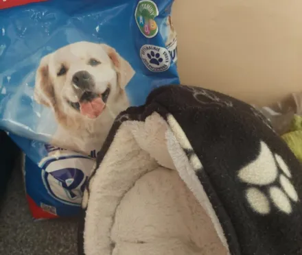 Pies Wojtek ze schroniska „Na Paluchu” ma nowy dom!