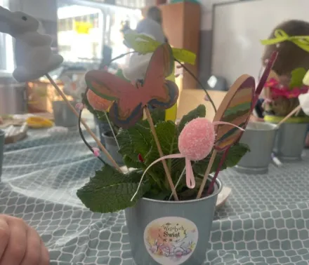 Pięknie posadzone rośliny w wiosennym wydaniu.