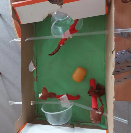 Dni recyklingu w SP 394