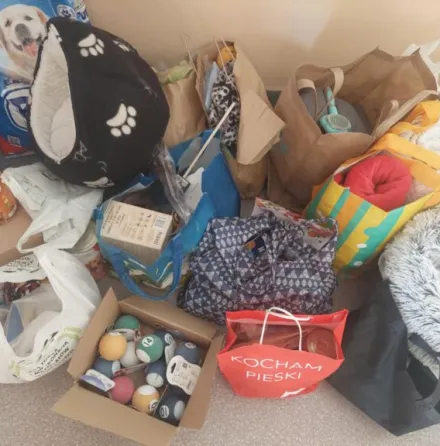 Pies Wojtek ze schroniska „Na Paluchu” ma nowy dom!