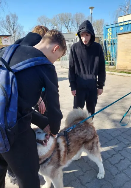 Pies Wojtek ze schroniska „Na Paluchu” ma nowy dom!