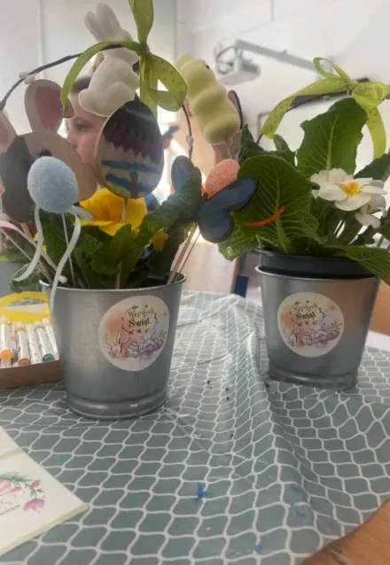 Pięknie posadzone rośliny w wiosennym wydaniu.