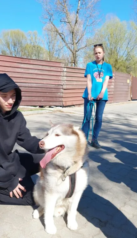 Pies Wojtek ze schroniska „Na Paluchu” ma nowy dom!