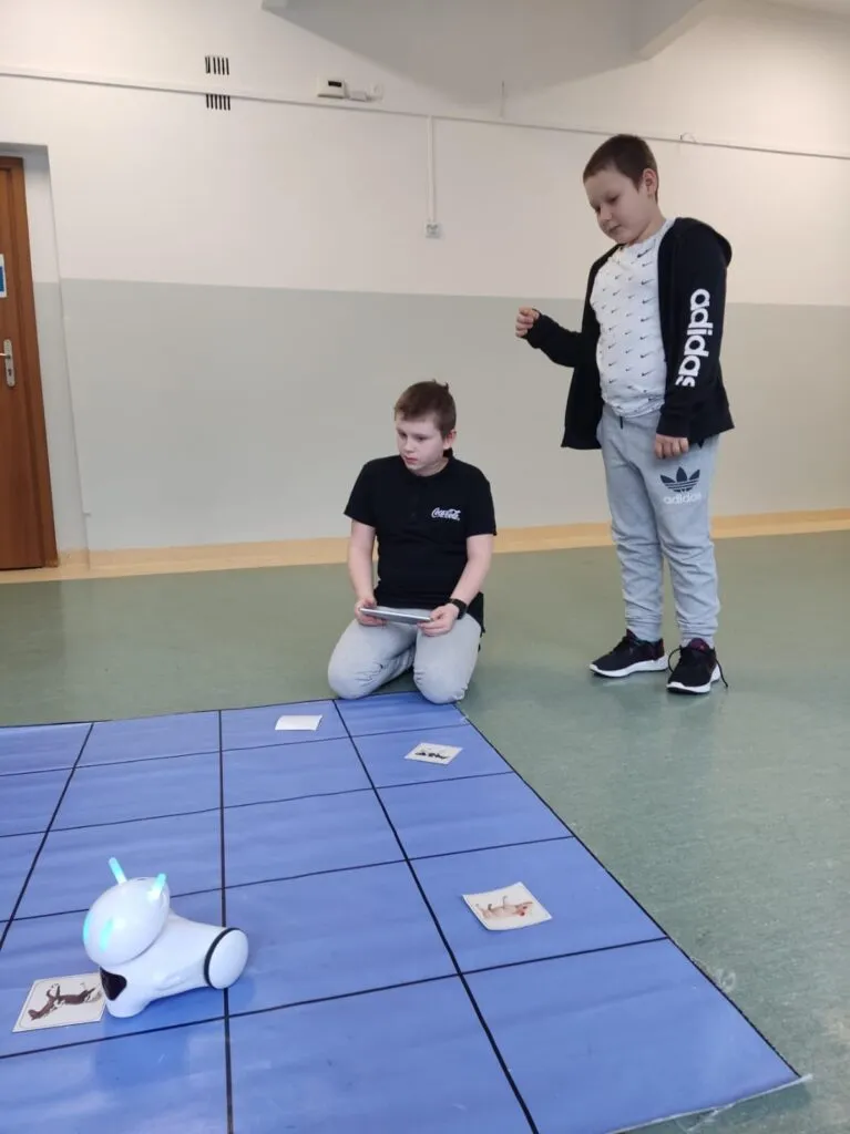 „Akademia Programistów- Mój przyjaciel robot”