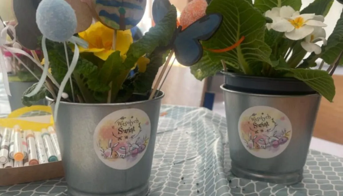 Pięknie posadzone rośliny w wiosennym wydaniu.