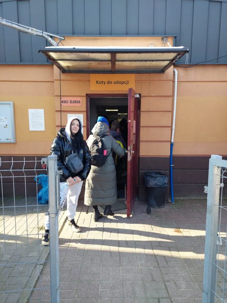 Wolontariat! To jest to!!!