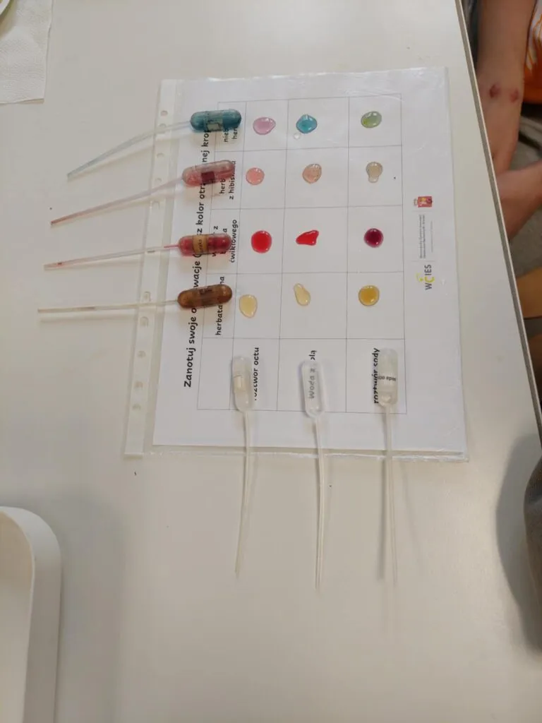 Warsztaty w Warszawskim Centrum Innowacji Edukacyjno-Społecznych i Szkoleń. Nauki przyrodnicze