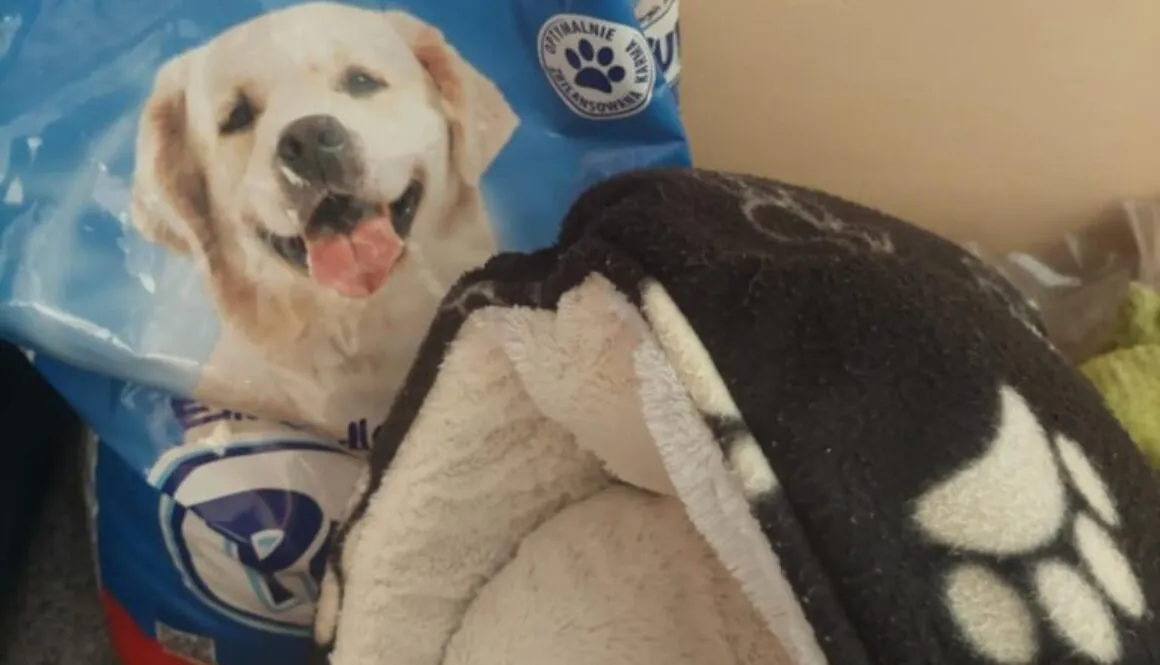 Pies Wojtek ze schroniska „Na Paluchu” ma nowy dom!