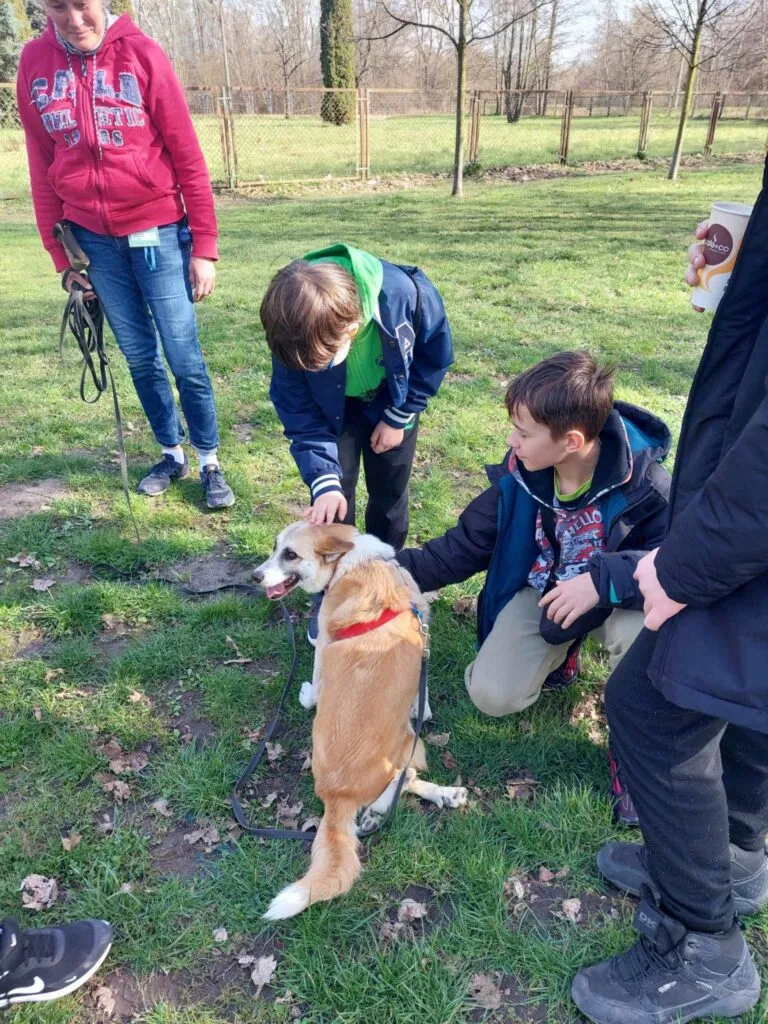 Świąteczna paczka dla Lukrecji :)