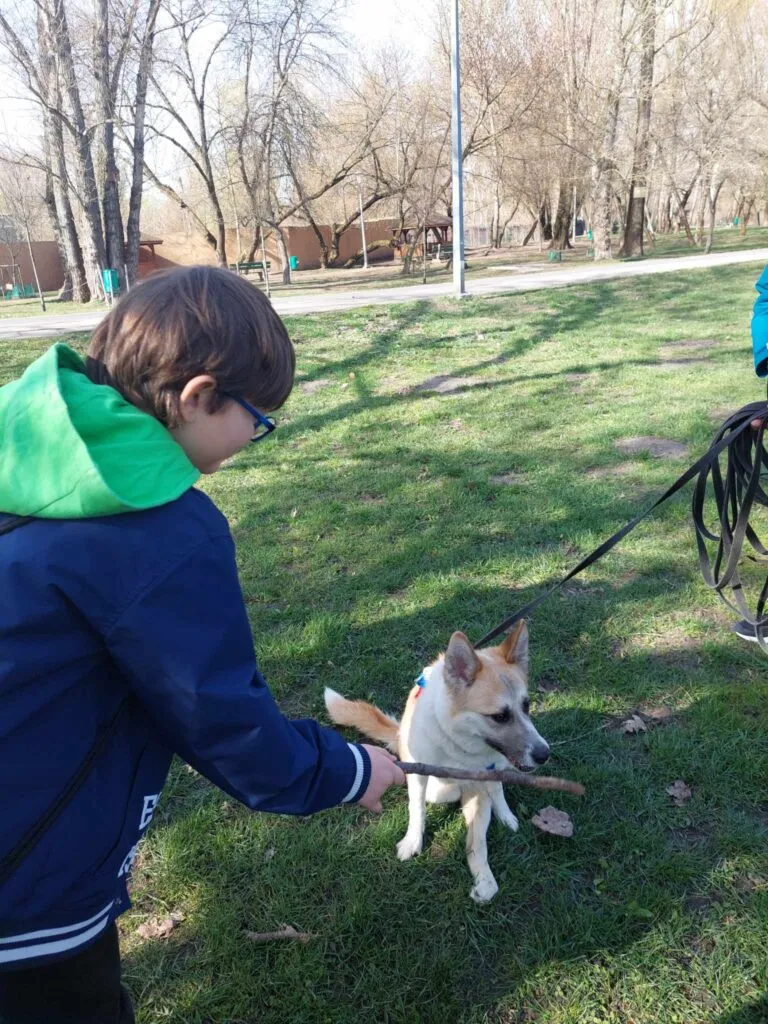 Świąteczna paczka dla Lukrecji :)