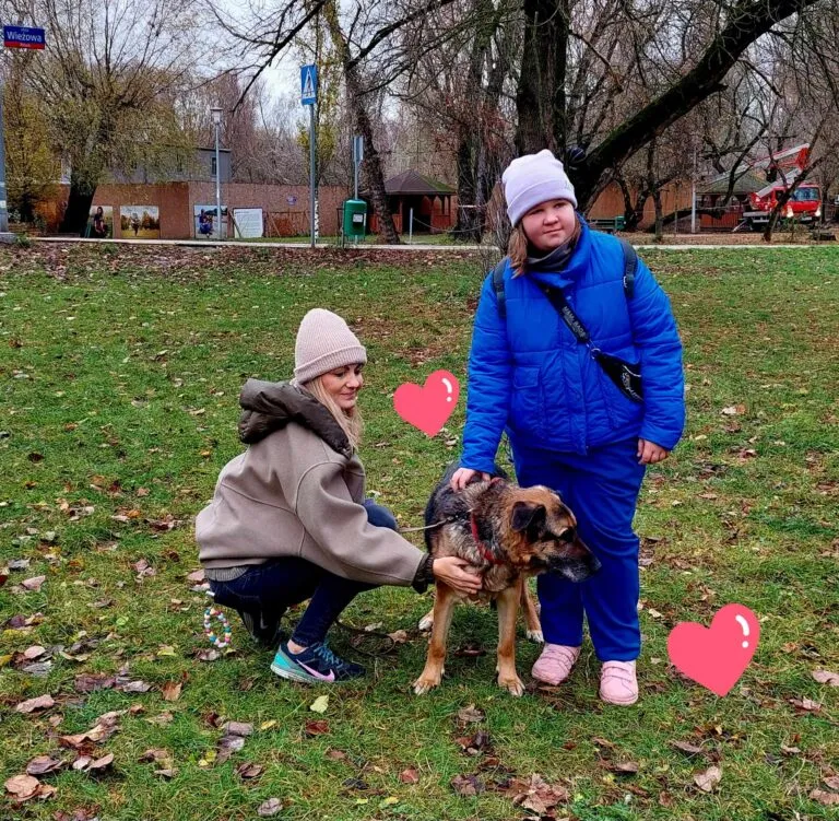 Piesek Wojtek- szkolny podopieczny ze Schroniska na Paluchu :)