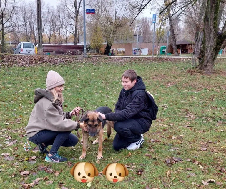 Piesek Wojtek- szkolny podopieczny ze Schroniska na Paluchu :)