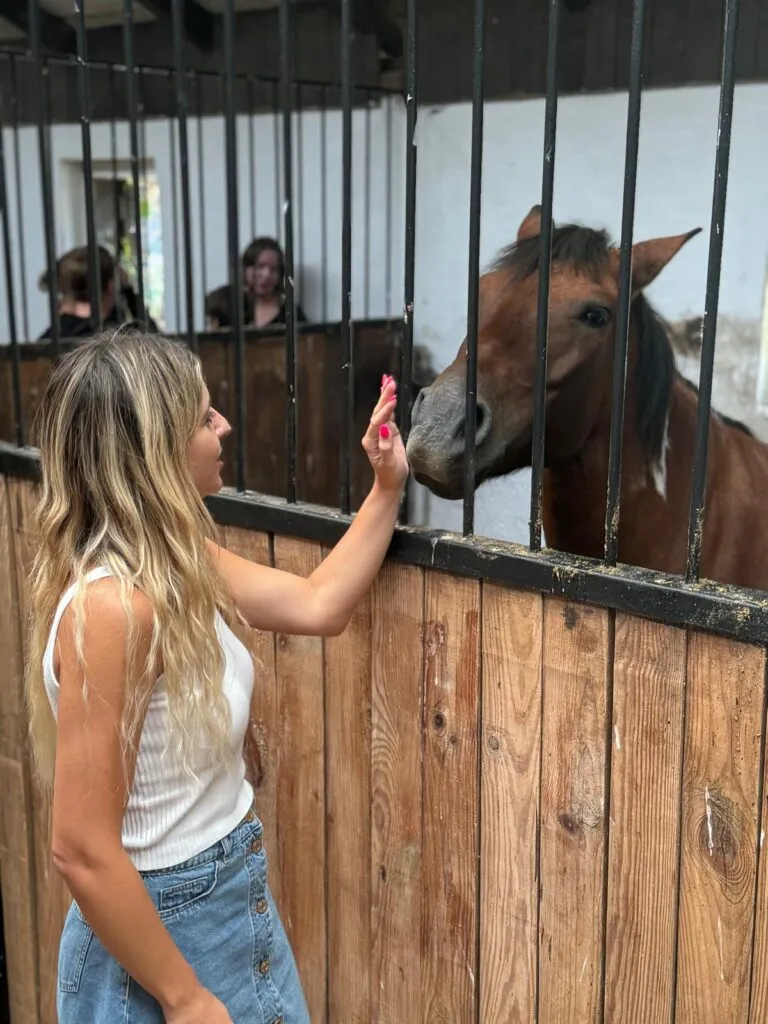 Wycieczka do Stajni na Kępie. 