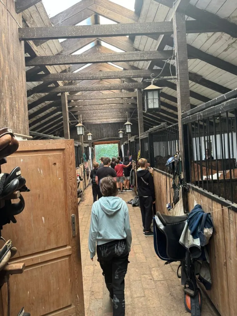 Wycieczka do Stajni na Kępie. 