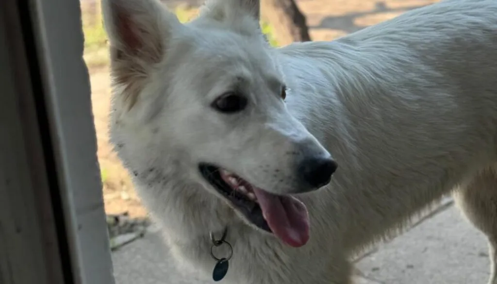 Wycieczka do Stajni na Kępie. 