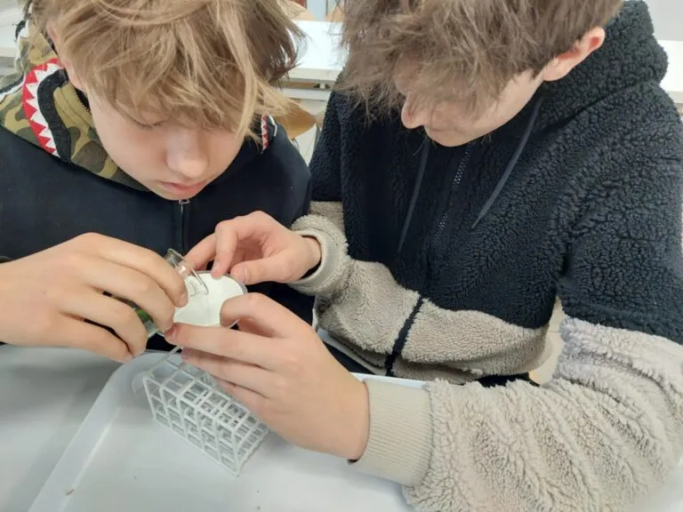 Warsztaty w Warszawskim Centrum Innowacji Edukacyjno-Społecznych i Szkoleń. Nauki przyrodnicze