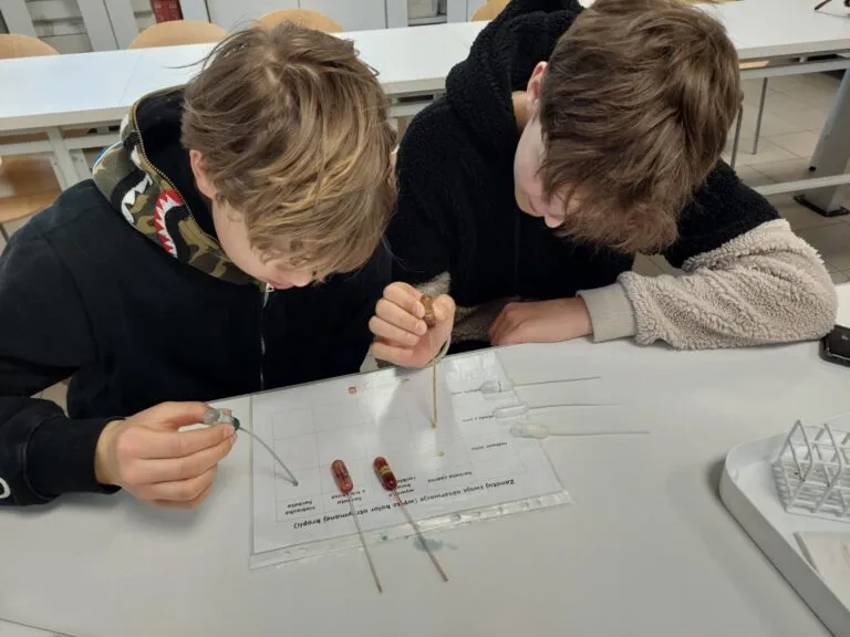 Warsztaty w Warszawskim Centrum Innowacji Edukacyjno-Społecznych i Szkoleń. Nauki przyrodnicze