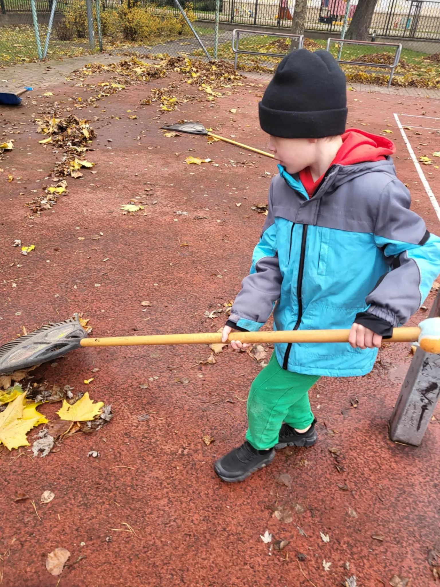 Uczeń grabi liście