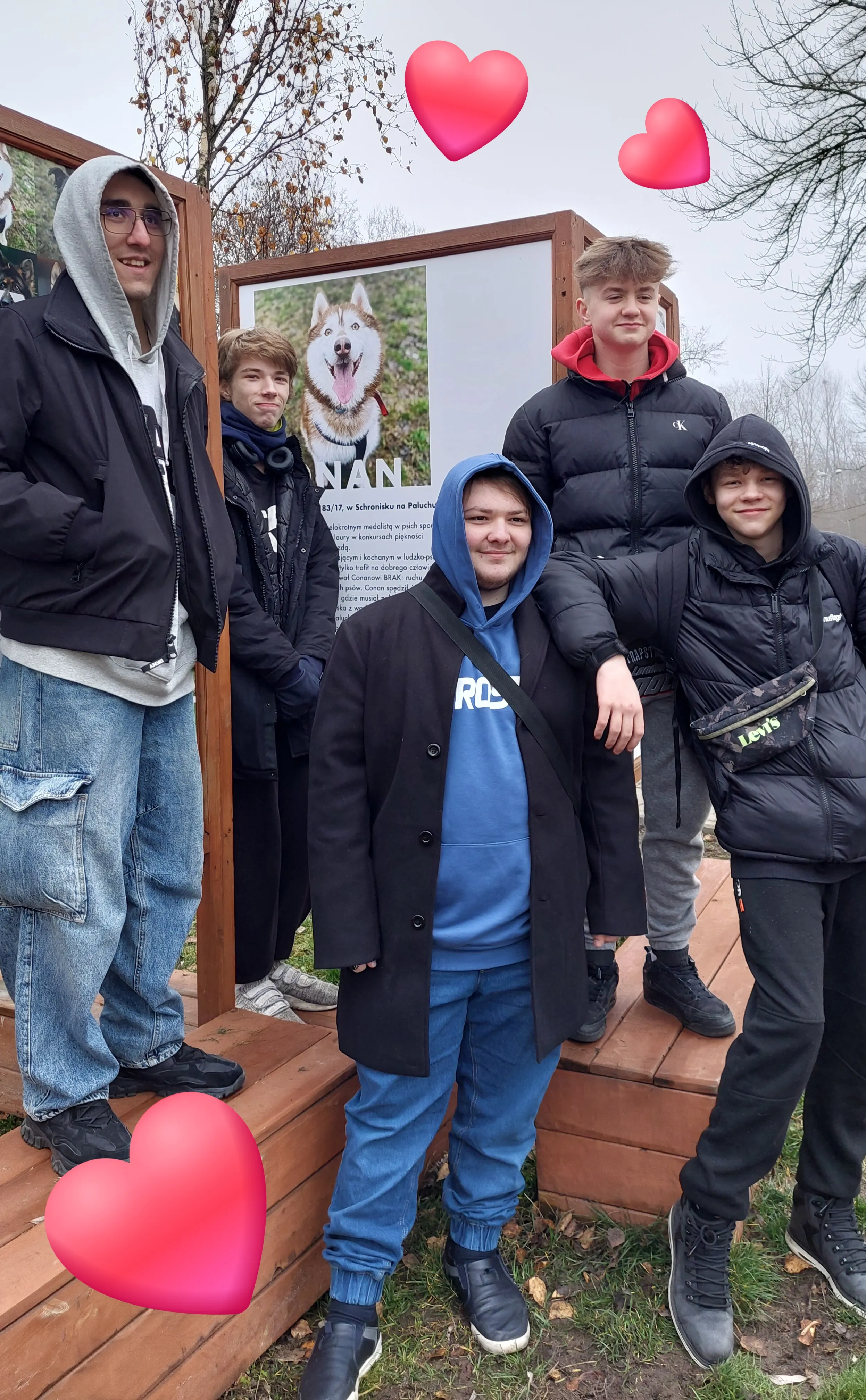 „Świąteczna paczka dla zwierzaczka”