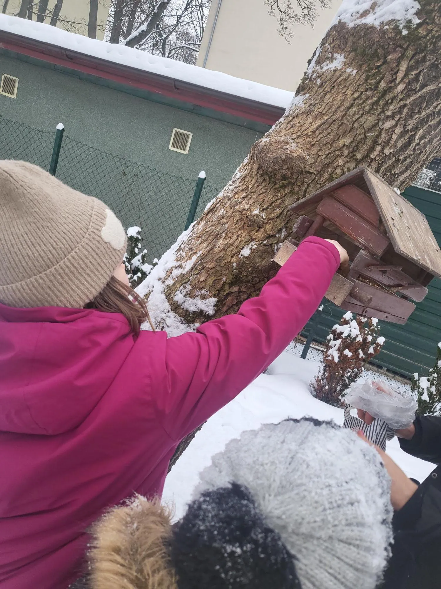 Uczniowie dokarmiają ptaki zimą