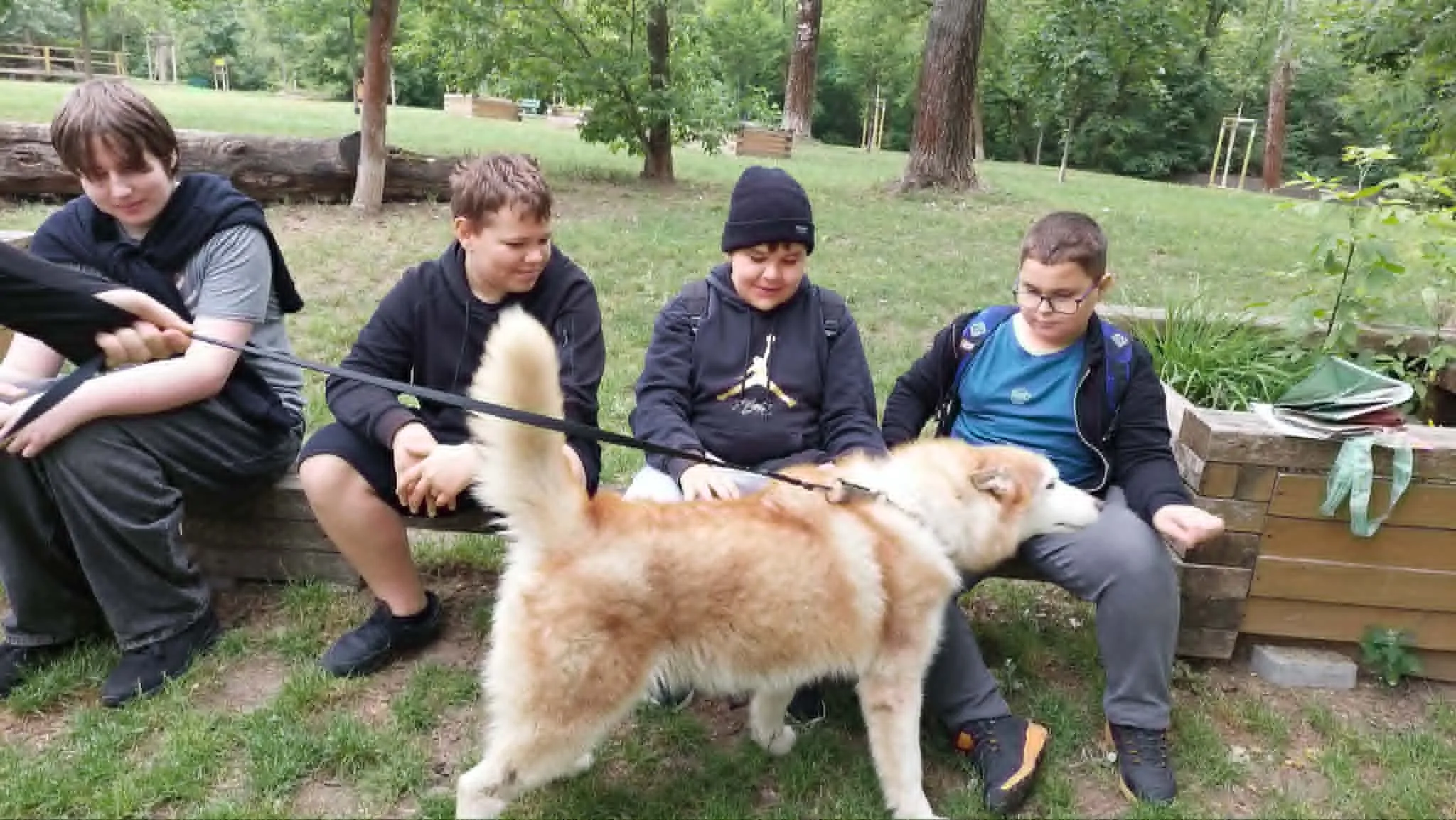 Lekcja w schronisku „Na Paluchu” 