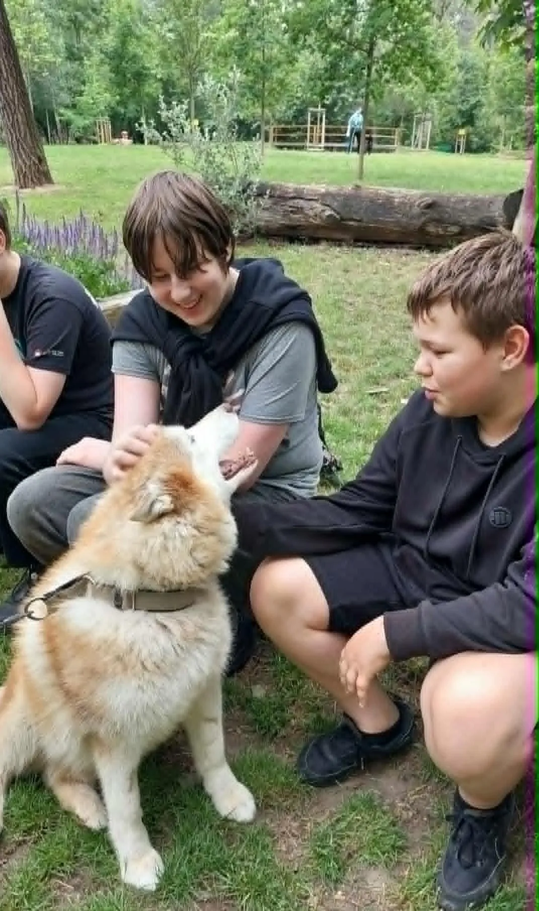 Lekcja w schronisku „Na Paluchu” 