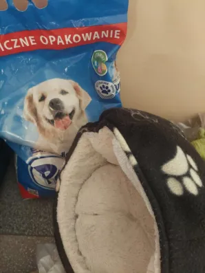 Pies Wojtek ze schroniska „Na Paluchu” ma nowy dom!