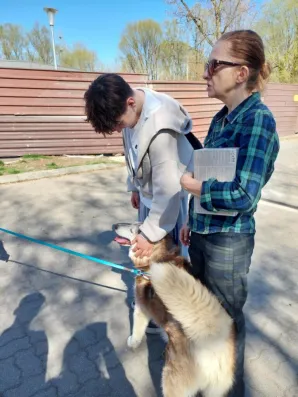 Pies Wojtek ze schroniska „Na Paluchu” ma nowy dom!