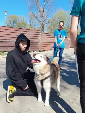 Pies Wojtek ze schroniska „Na Paluchu” ma nowy dom!