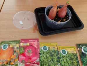 Projekt przyrodniczo-ekologiczny „Od ziarenka do roślinki”